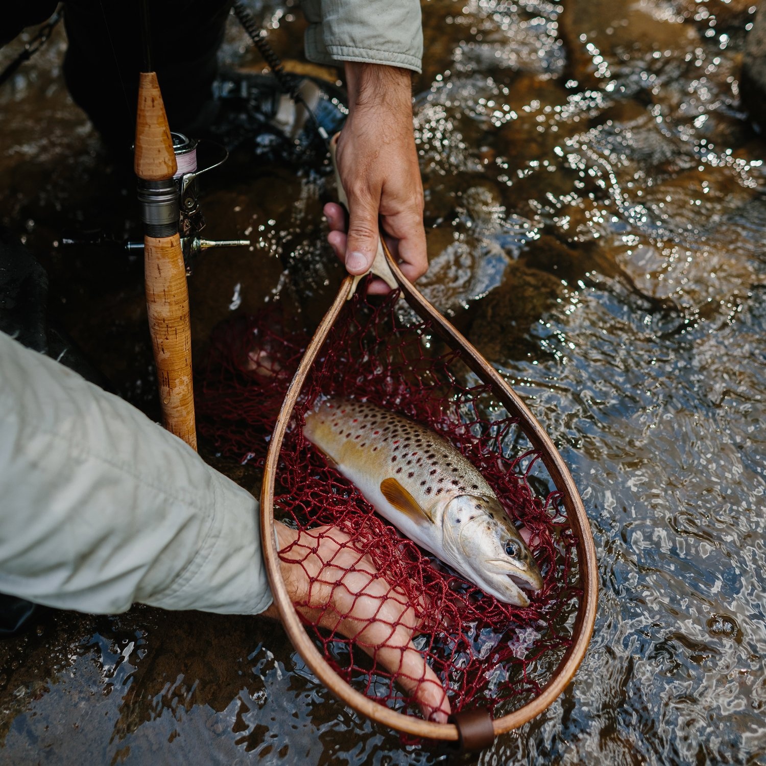 Pstruhem to začíná